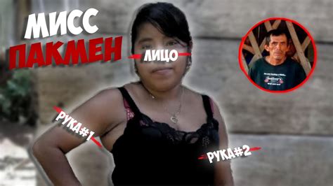 мисс пакман|Миссис Пакман // Ms Pacman ужасная история бразильской .